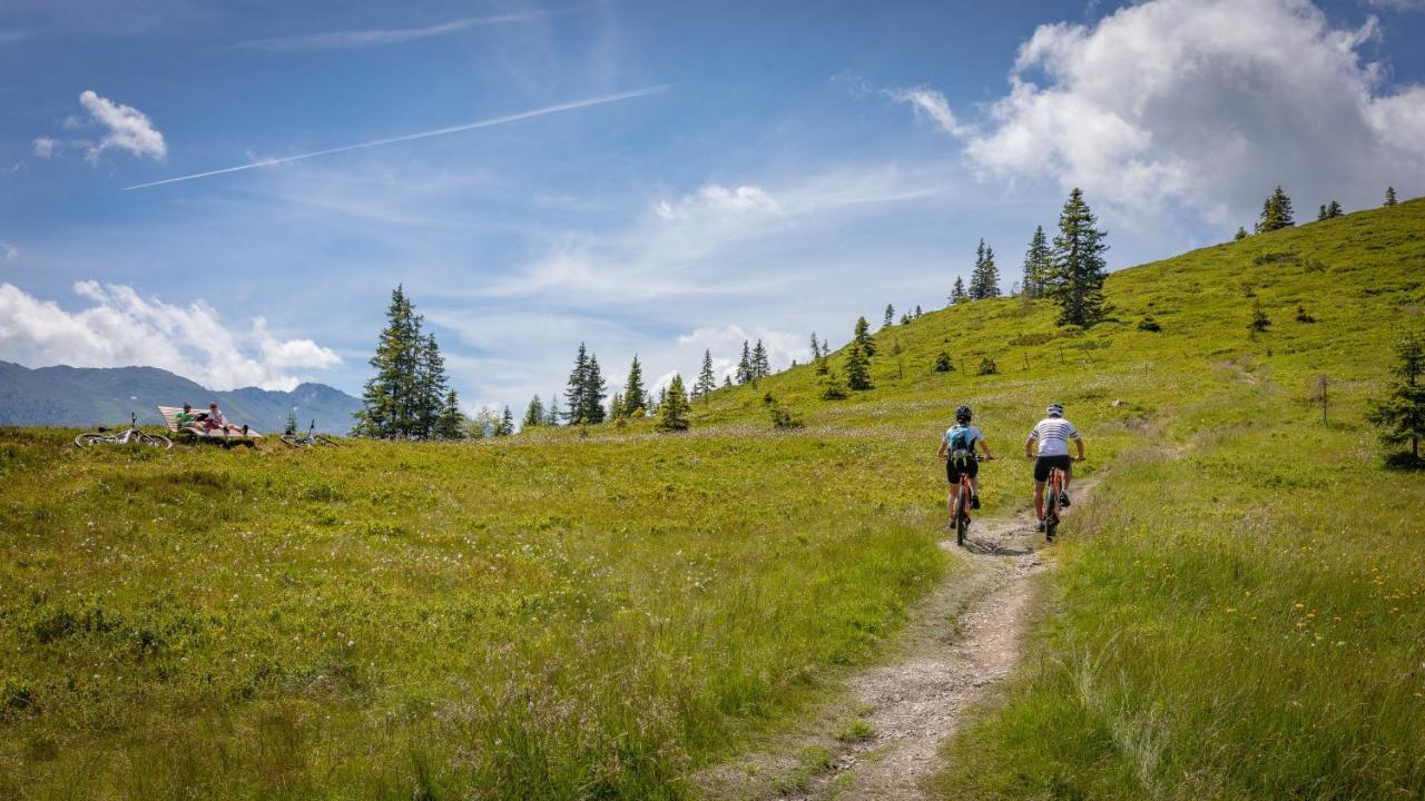 Zillertal By Alps *